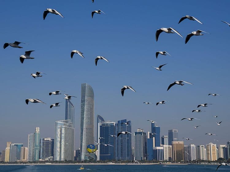 Abu Dhabi real estate sector scores high on global transparency index