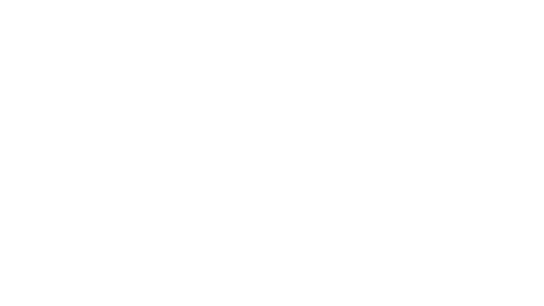 Lead Development Logo White