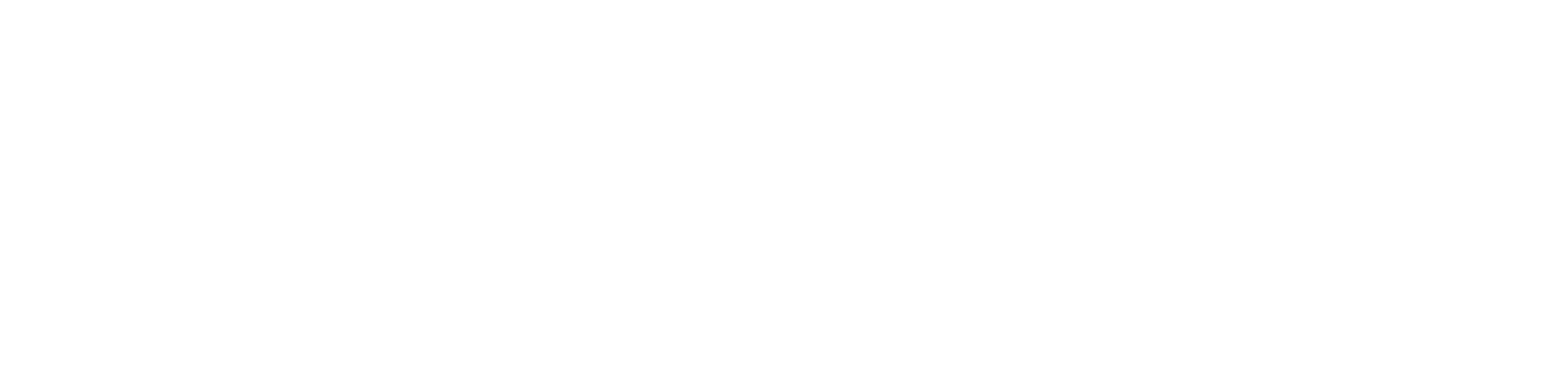 MG Logo