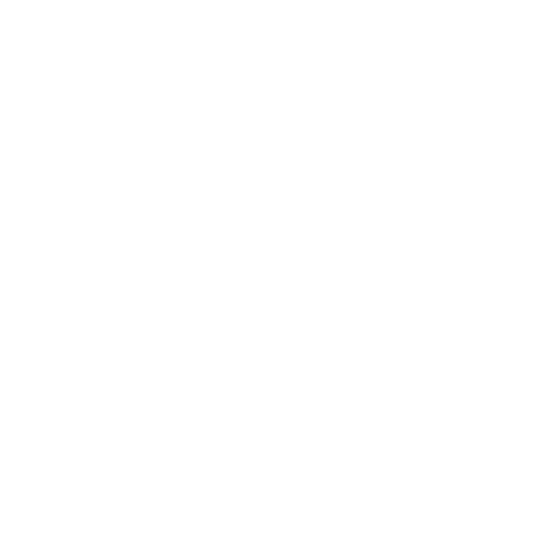 modon logo 2