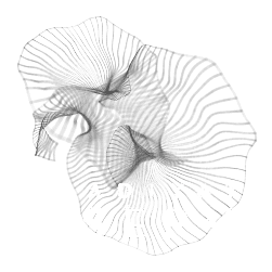 Saadiyat Reserve Logo