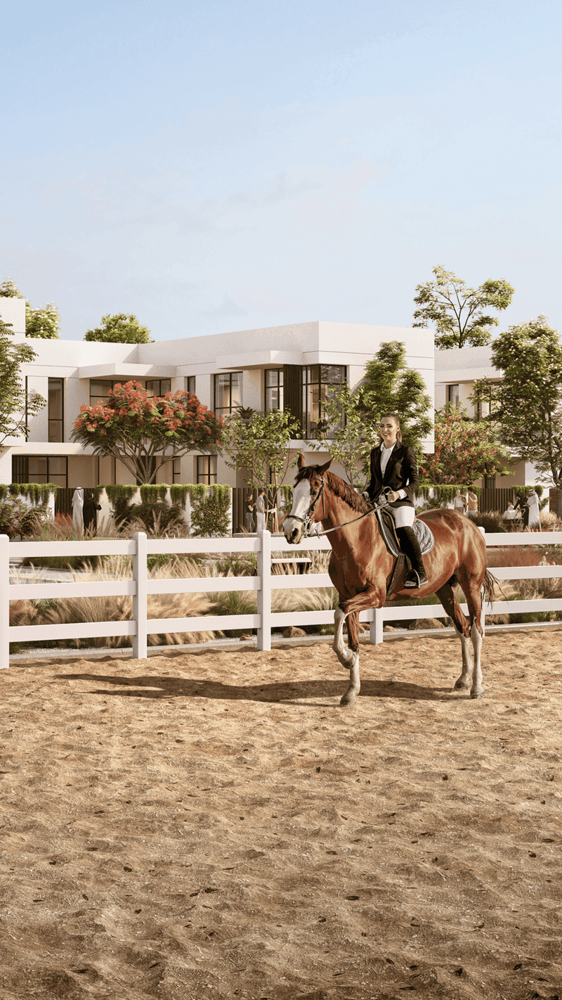 The Sustainable City 7